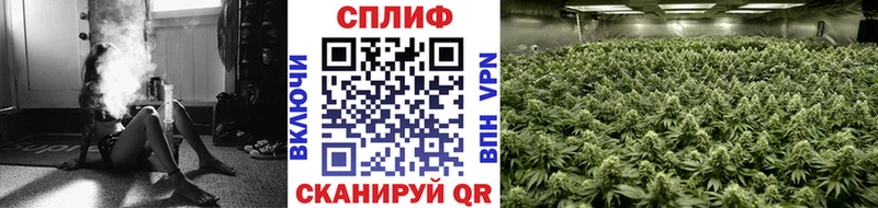 Конопля MAZAR  Купить  Балей 